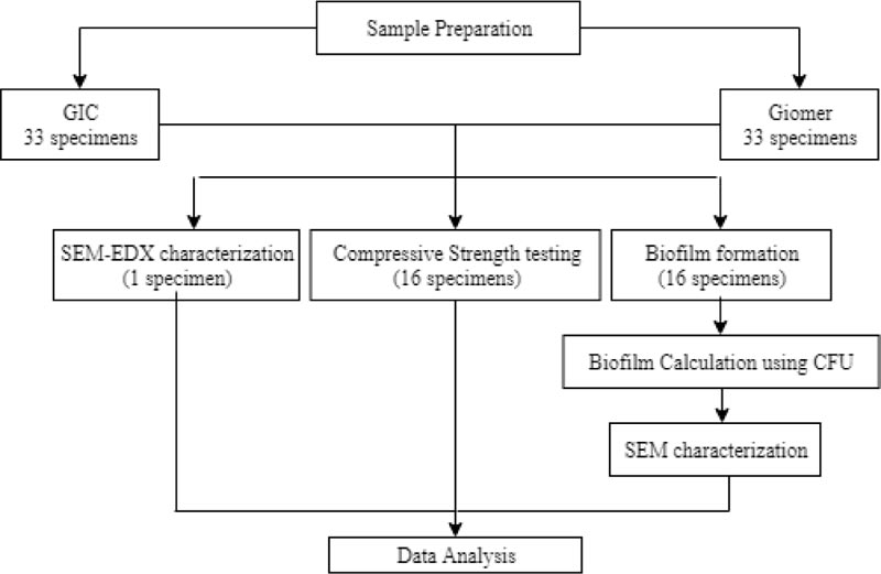 The Comparison of Biofilm Formation, Mechanical and Chemical Properties between Glass Ionomer Cement and Giomer