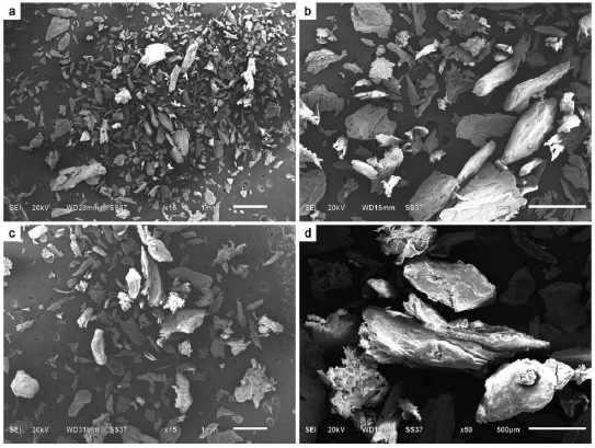 Physicochemical Properties of Torus Mandibularis and Palatinus Indicate a Source of Autogenous Bone Graft