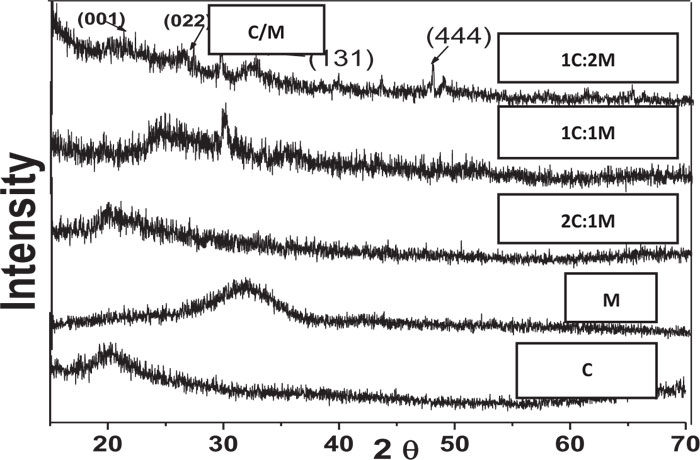 Porosity Pattern of 3D Chitosan/Bioactive Glass Tissue Engineering Scaffolds Prepared for Bone Regeneration