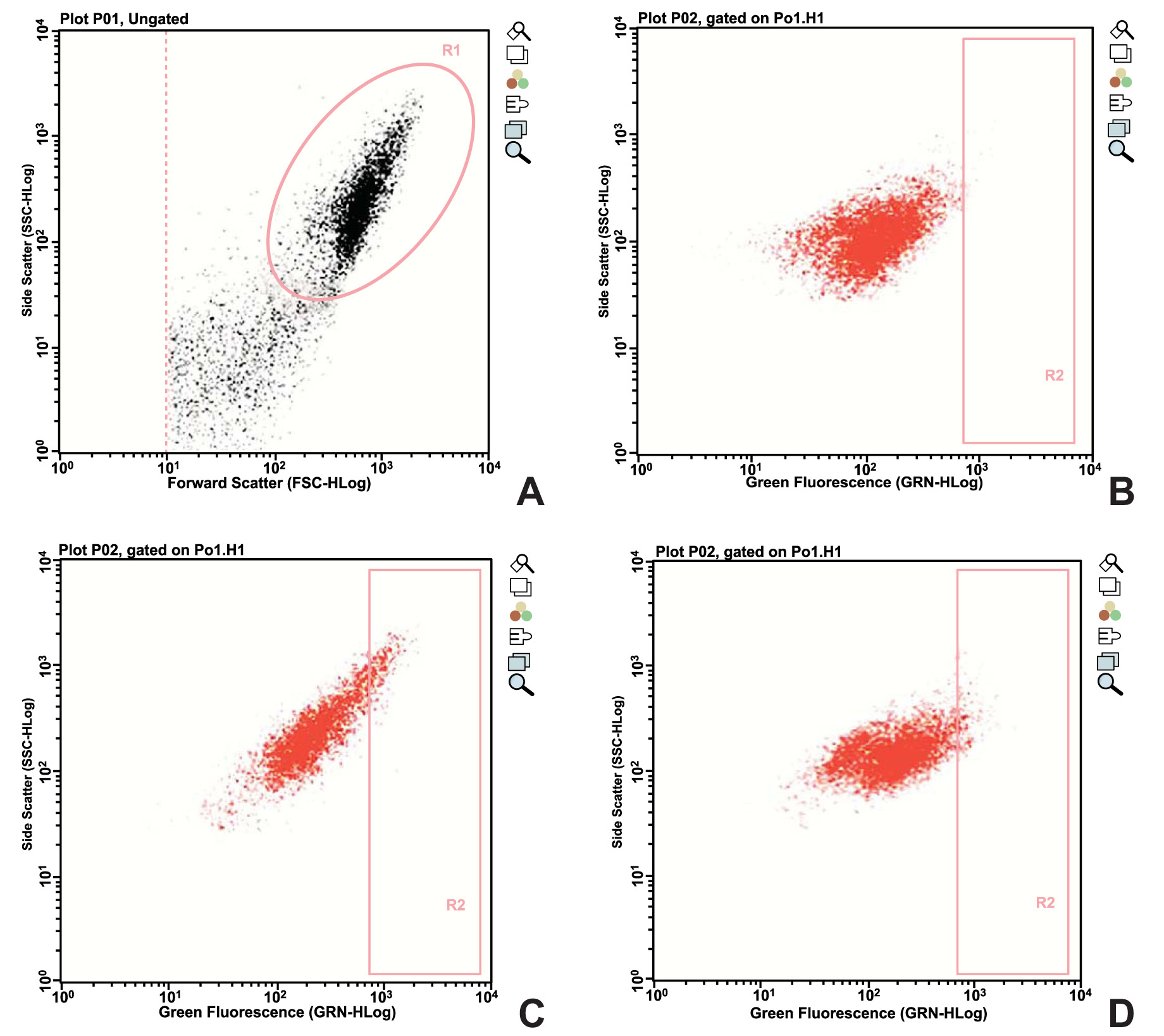 Effect of Static Compressive Force on Aldehyde Dehydrogenase Activity in Periodontal Ligament Fibroblasts
