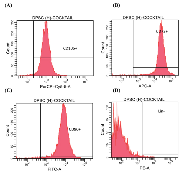 Increased VEGF-A Expression of Human Dental Pulp Stem Cells (hDPSCs) Cultured with Advanced Platelet Rich Fibrin (A-PRF)
                