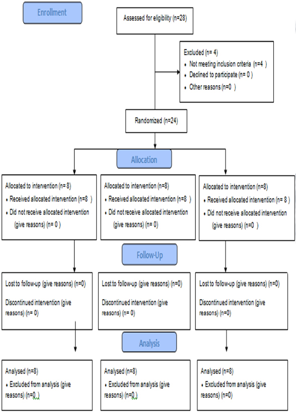 Attachment-Retained Unilateral Partial Denture  Tooth Implant-Supported Prosthesis in Mandibular Distal Extension Cases: A Randomized Controlled Trial