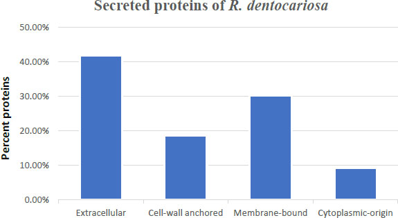 Bioinformatics Analysis of the Proteome and Assessment of the Proinflammatory Potential of Biofilm and Planktonic Cells