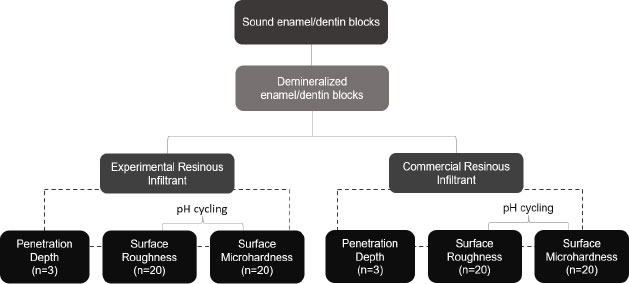 Roughness and Microhardness of Demineralized Enamel Treated with Resinous Infiltrants and Subjected to an Acid Challenge: An Study