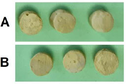 The Cell Biocompatibility of a new Polycaprolactone-based Endodontics Sealer Compared with AH Plus Sealer
