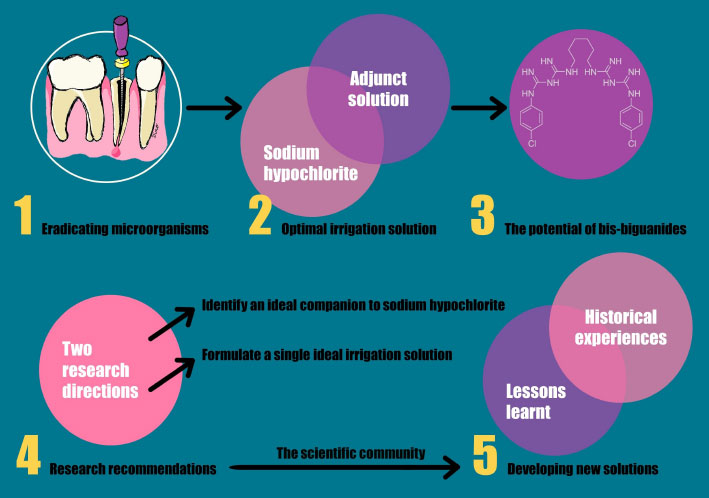 Antimicrobial Irrigation Solutions in Root Canal Treatment: A Glance at the Past, the Present, and the Future