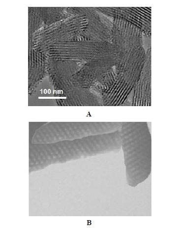 Antibacterial Effects of Curcumin-loaded Mesoporous Silica Nanoparticles inside the Dental Implant Fixture