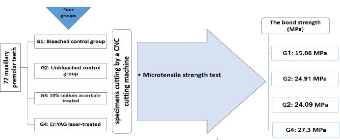 The Effect of 10% Sodium Ascorbate and Er: YAG Laser on the Microtensile Bond Strength of Composite Resin to Bleached Enamel