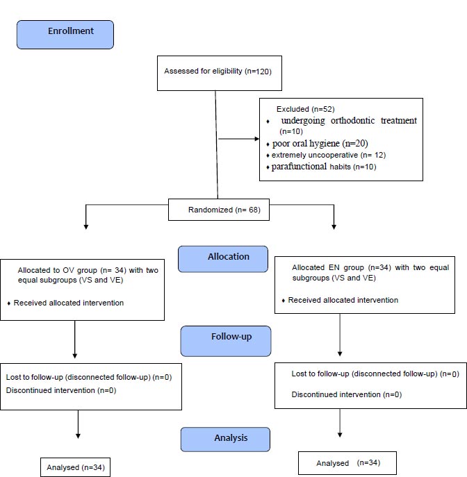 Clinical Performance of Two CAD/CAM Fabricated Ceramic Restorations with Different Designs for MIH Rehabilitation: A Randomized Controlled Trial