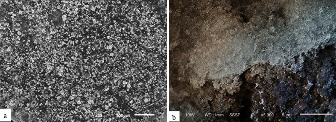 Effect of Nanosilica Filler Addition on Tear Strength and Intrinsic Pigment Stability of Facial Silicone Materials